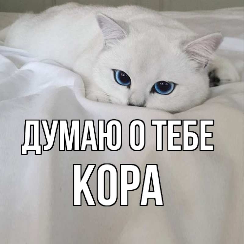 Картинка Думаю о тебе, Кора