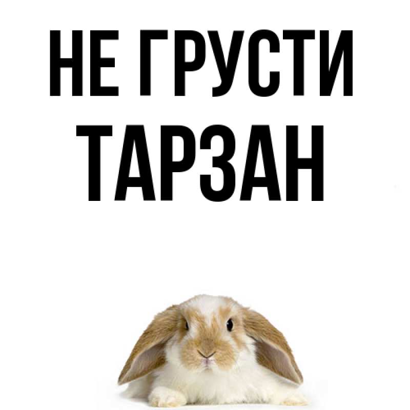 Картинка Не грусти, Тарзан