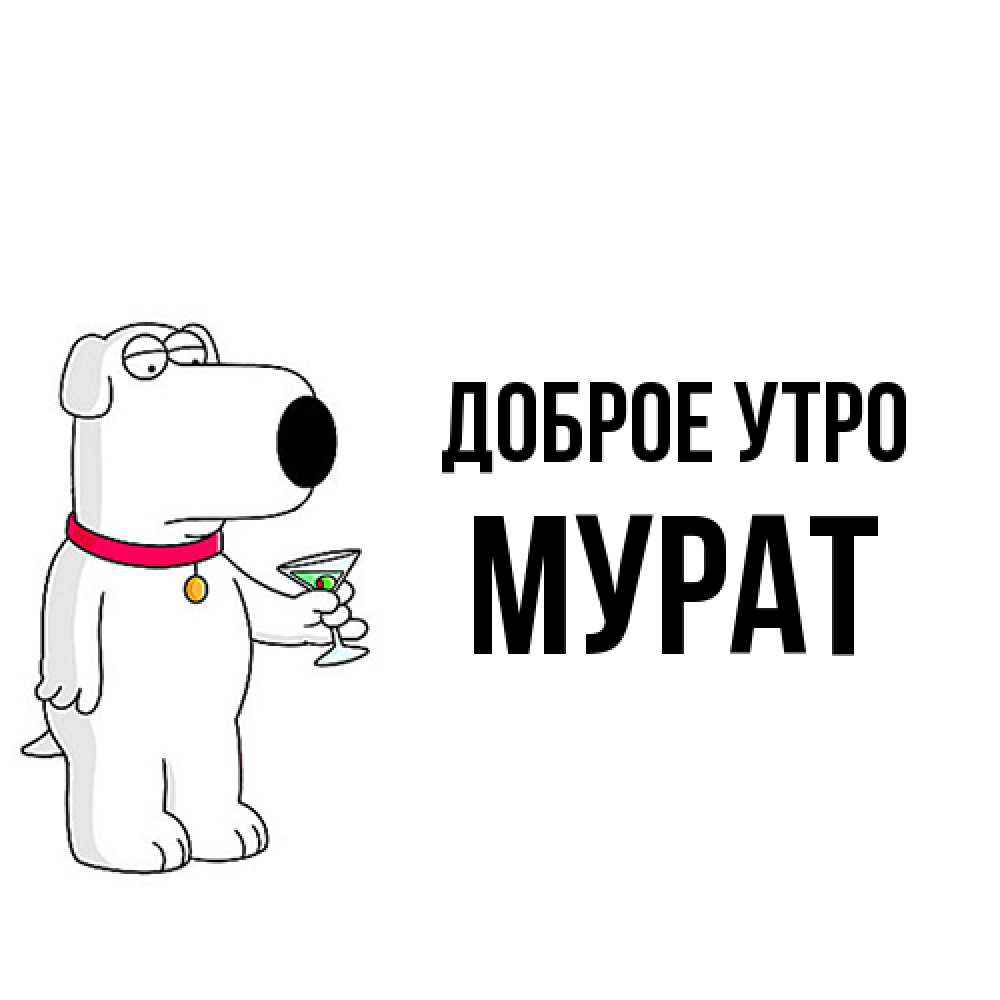 Открытка на каждый день с именем, Мурат Доброе утро герои мультфильмов белый пес Прикольная открытка с пожеланием онлайн скачать бесплатно 