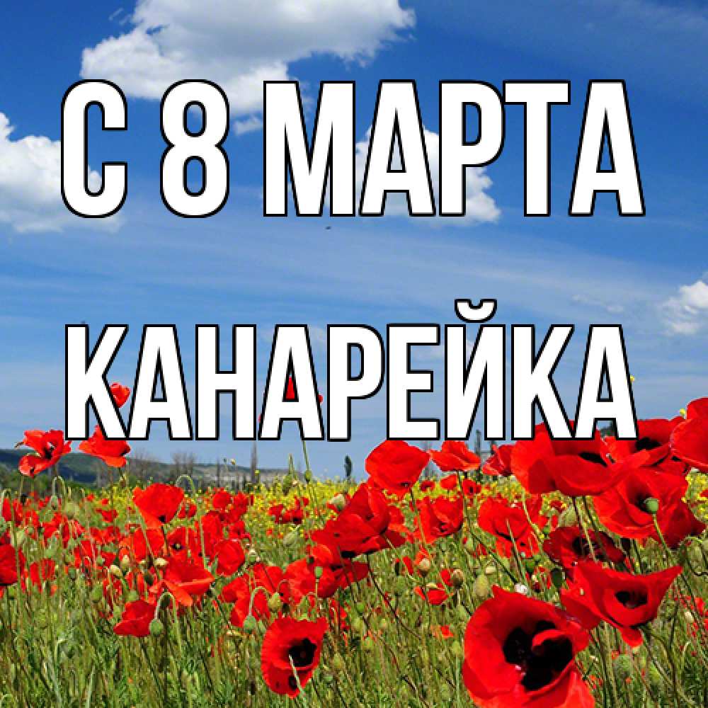 Открытка на каждый день с именем, Канарейка C 8 МАРТА международный женский день 1 Прикольная открытка с пожеланием онлайн скачать бесплатно 