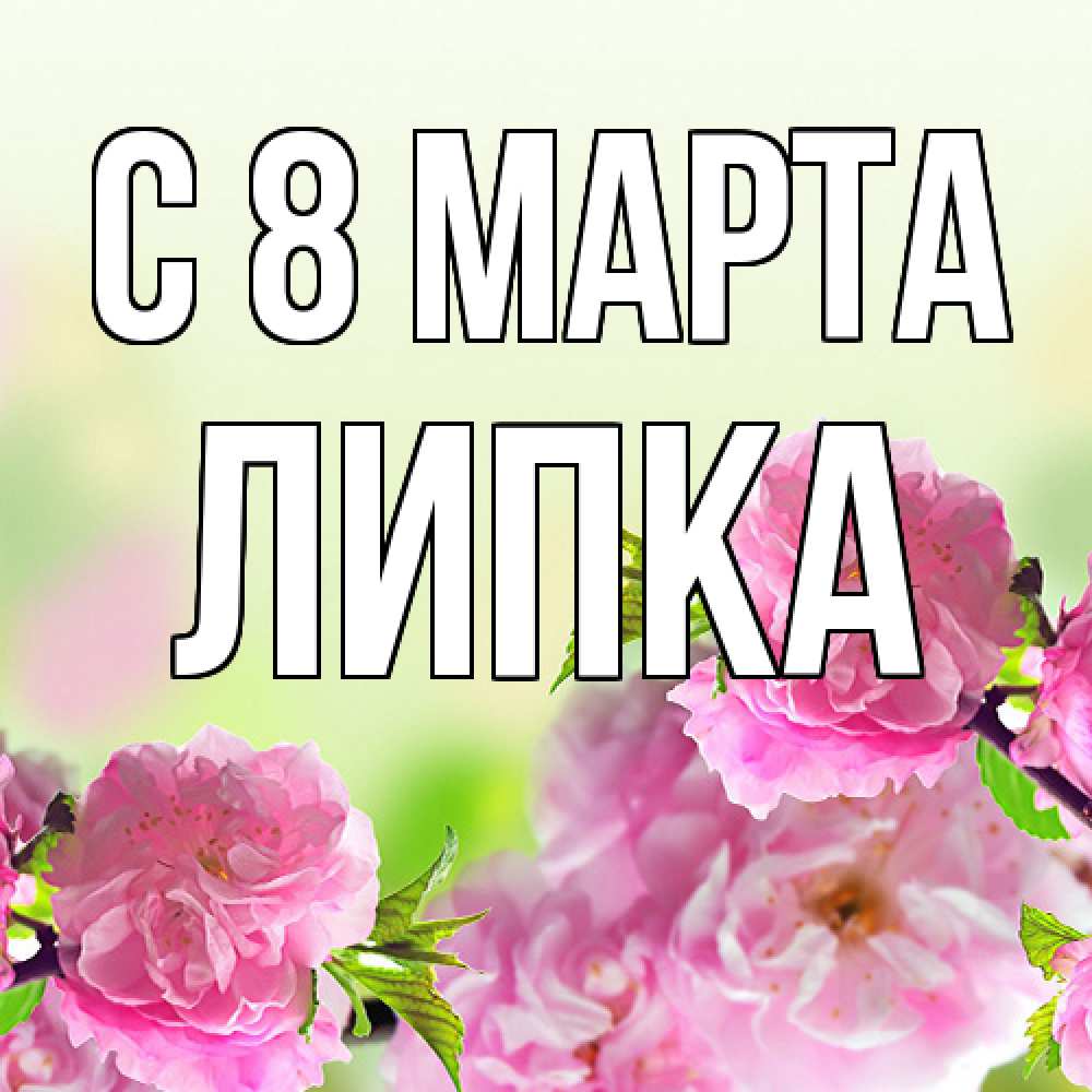 Открытка на каждый день с именем, Липка C 8 МАРТА цветы Прикольная открытка с пожеланием онлайн скачать бесплатно 