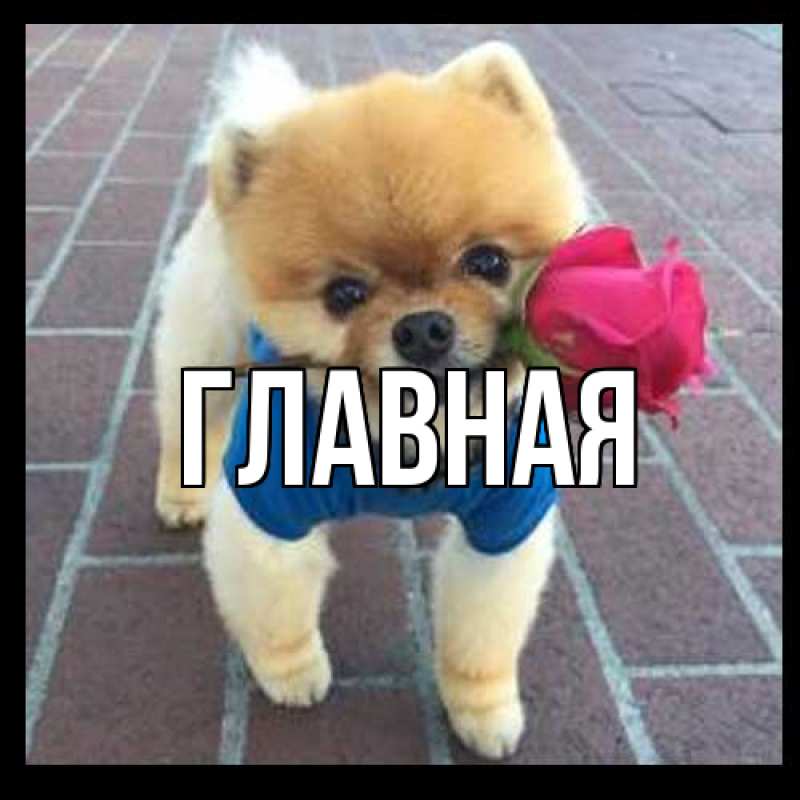 Картинка  с именем , настя