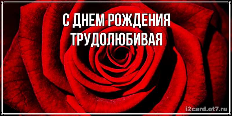 Картинка С днем рождения, Тpудолюбивая