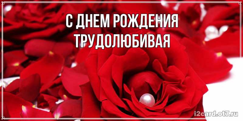 Картинка С днем рождения, Тpудолюбивая
