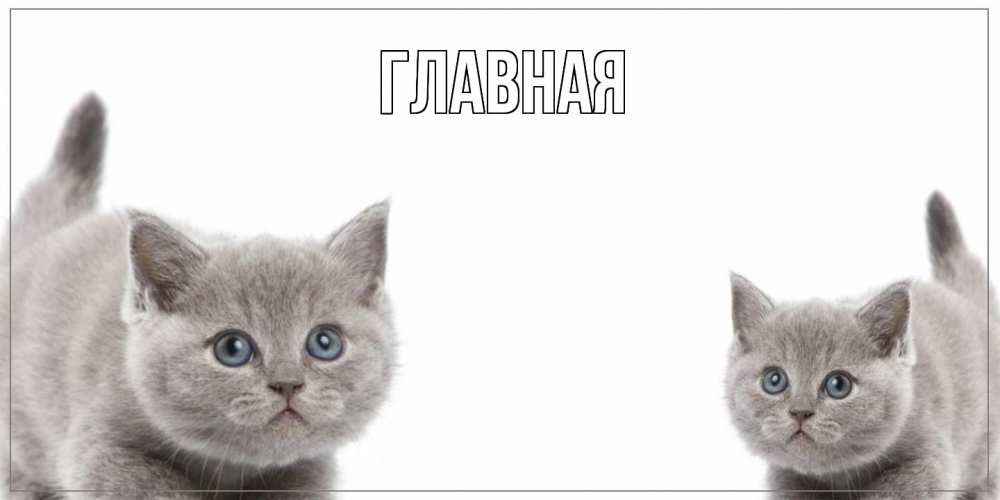 Открытка на каждый день с именем, Марьяна Главная открытка с котами Прикольная открытка с пожеланием онлайн скачать бесплатно 