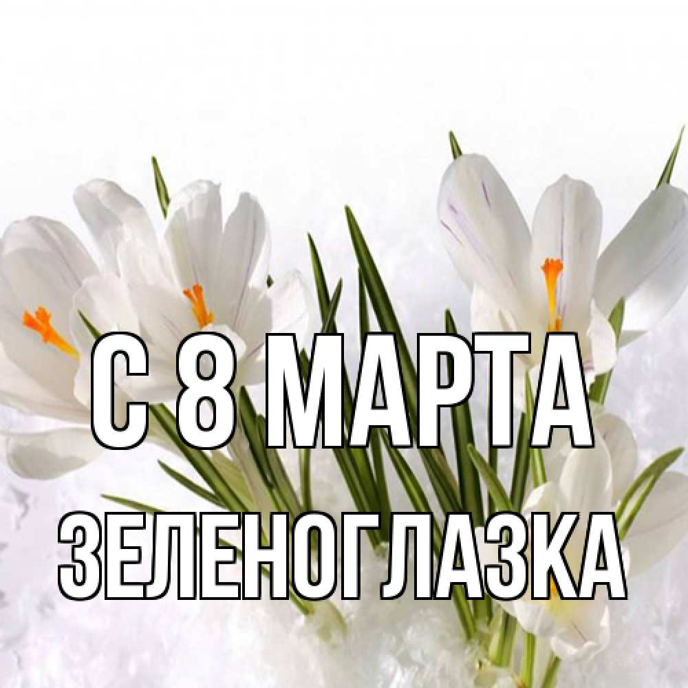 Открытка на каждый день с именем, зеленоглазка C 8 МАРТА под снегом Прикольная открытка с пожеланием онлайн скачать бесплатно 