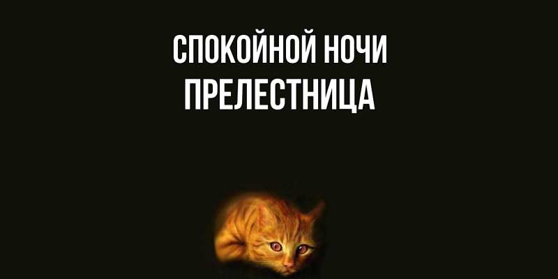 Картинка Спокойной ночи, пpелестница