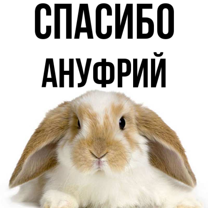 Картинка Спасибо, Ануфрий