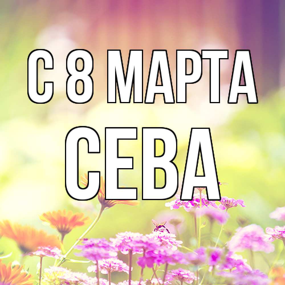 Открытка на каждый день с именем, Сева C 8 МАРТА цветы весна Прикольная открытка с пожеланием онлайн скачать бесплатно 