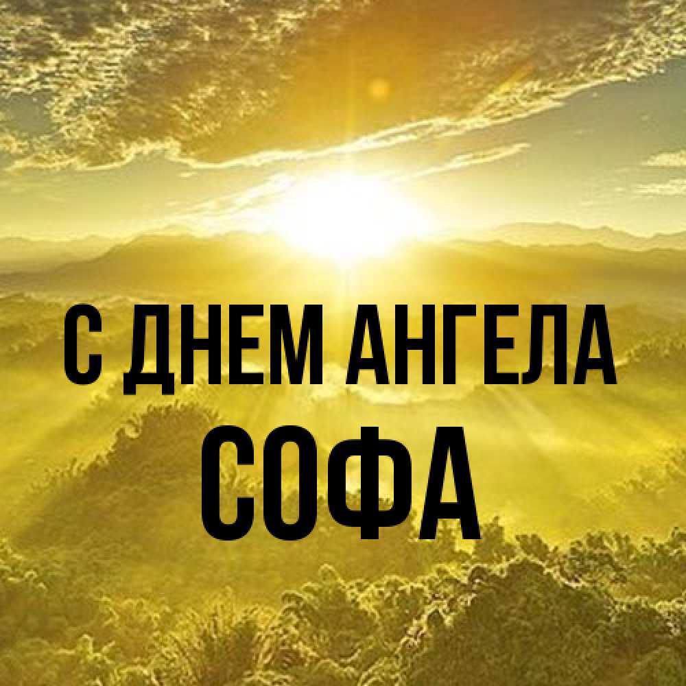 Открытка на каждый день с именем, Софа С днем ангела леса и небо в желтом Прикольная открытка с пожеланием онлайн скачать бесплатно 