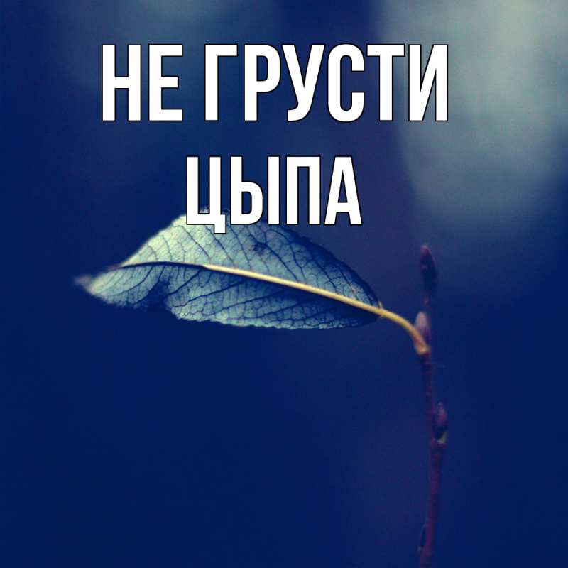 Картинка Не грусти, Цыпа