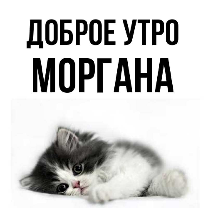 Картинка Доброе утро, Моргана