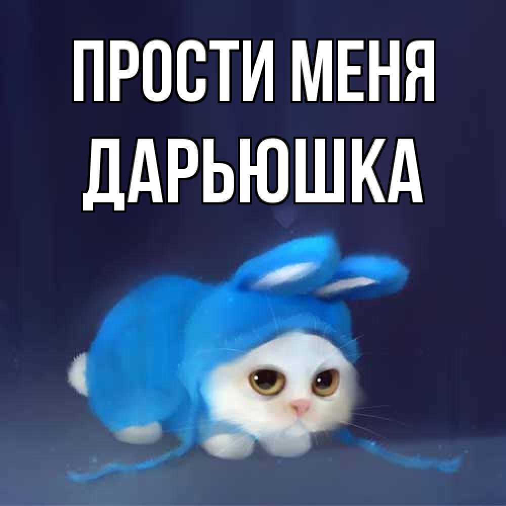 Открытка на каждый день с именем, Дарьюшка Прости меня невинный котозай просит прощения Прикольная открытка с пожеланием онлайн скачать бесплатно 