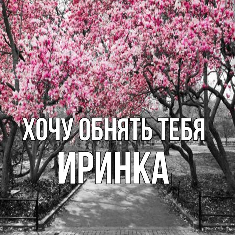 Картинка Хочу обнять тебя, Иринка