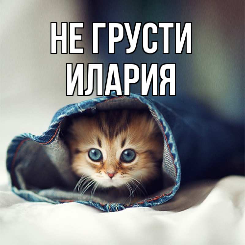 Картинка Не грусти, Илария