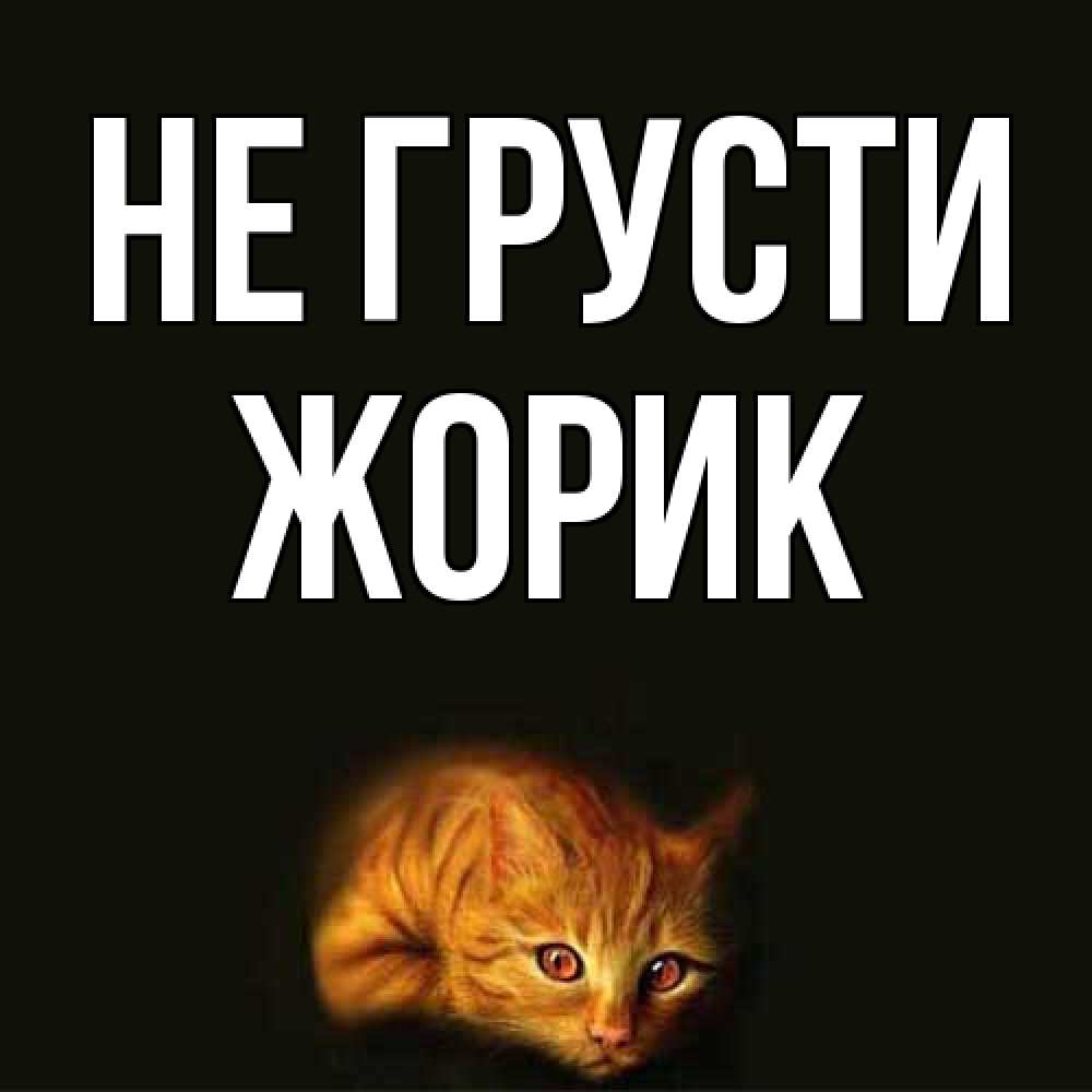 Открытка на каждый день с именем, жорик Не грусти лежащий кот в темноте Прикольная открытка с пожеланием онлайн скачать бесплатно 