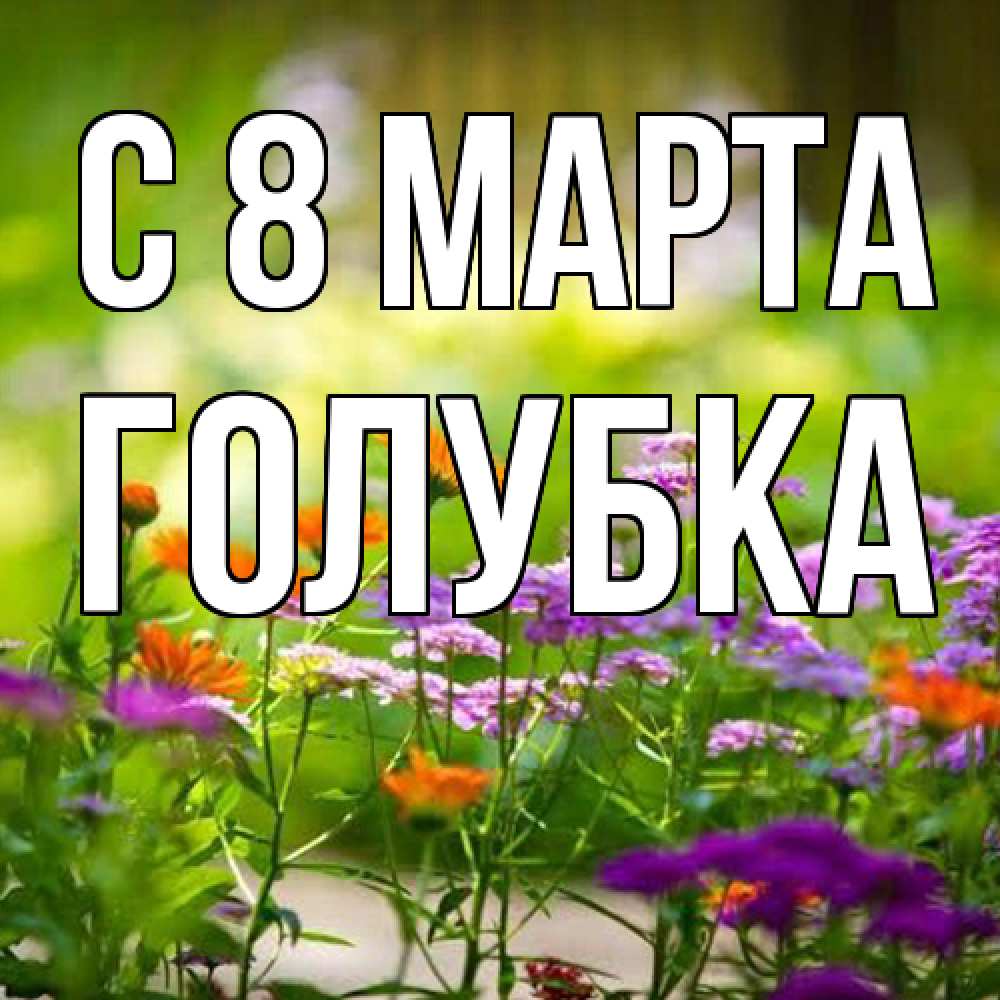Открытка на каждый день с именем, Голубка C 8 МАРТА цветы Прикольная открытка с пожеланием онлайн скачать бесплатно 