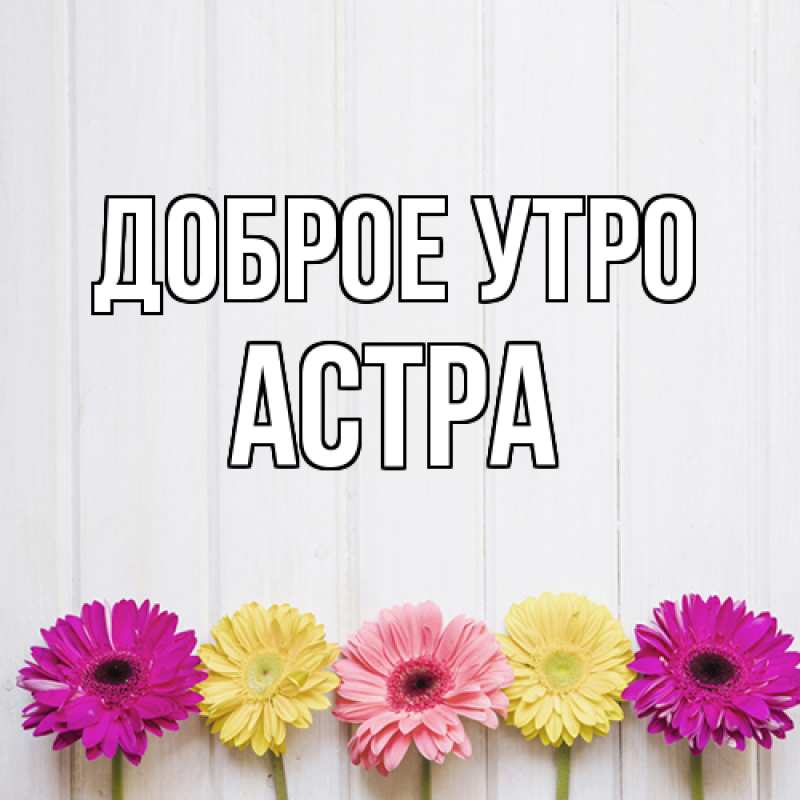 Картинка Доброе утро, Астра