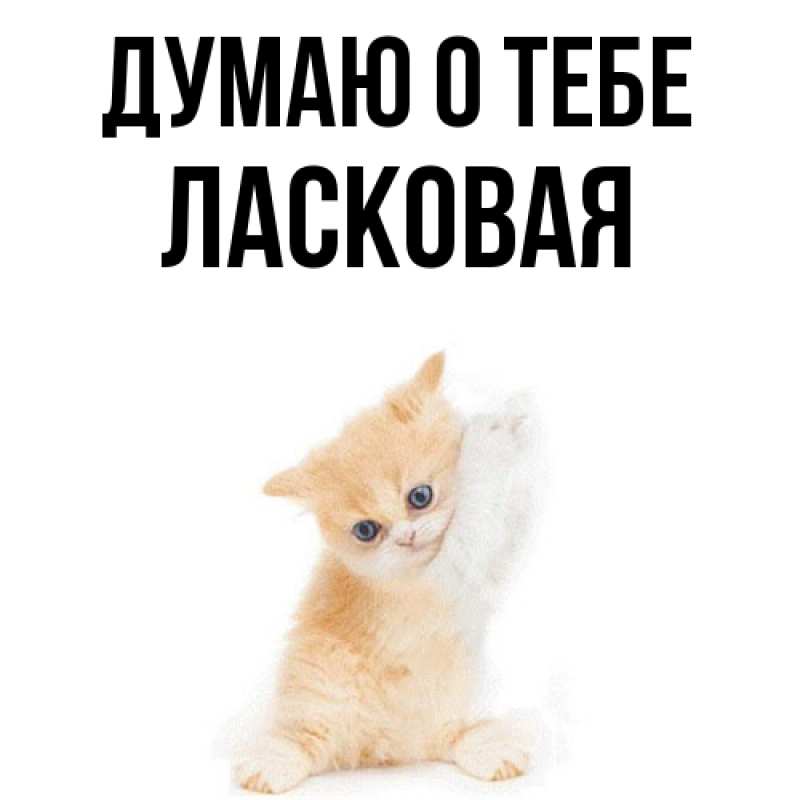 Картинка Думаю о тебе, Ласковая
