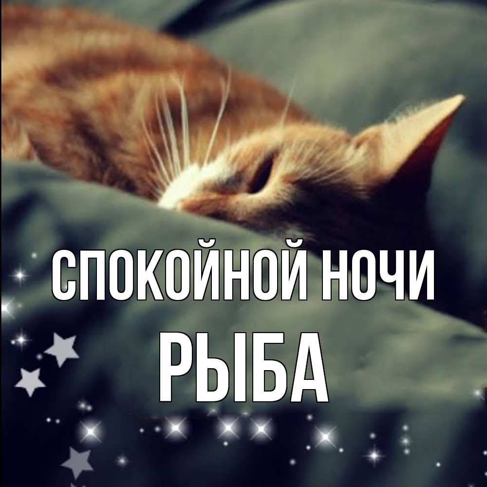 Открытка на каждый день с именем, Рыба Спокойной ночи кроватка Прикольная открытка с пожеланием онлайн скачать бесплатно 