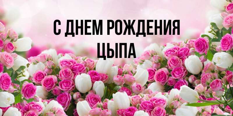 Картинка С днем рождения, Цыпа