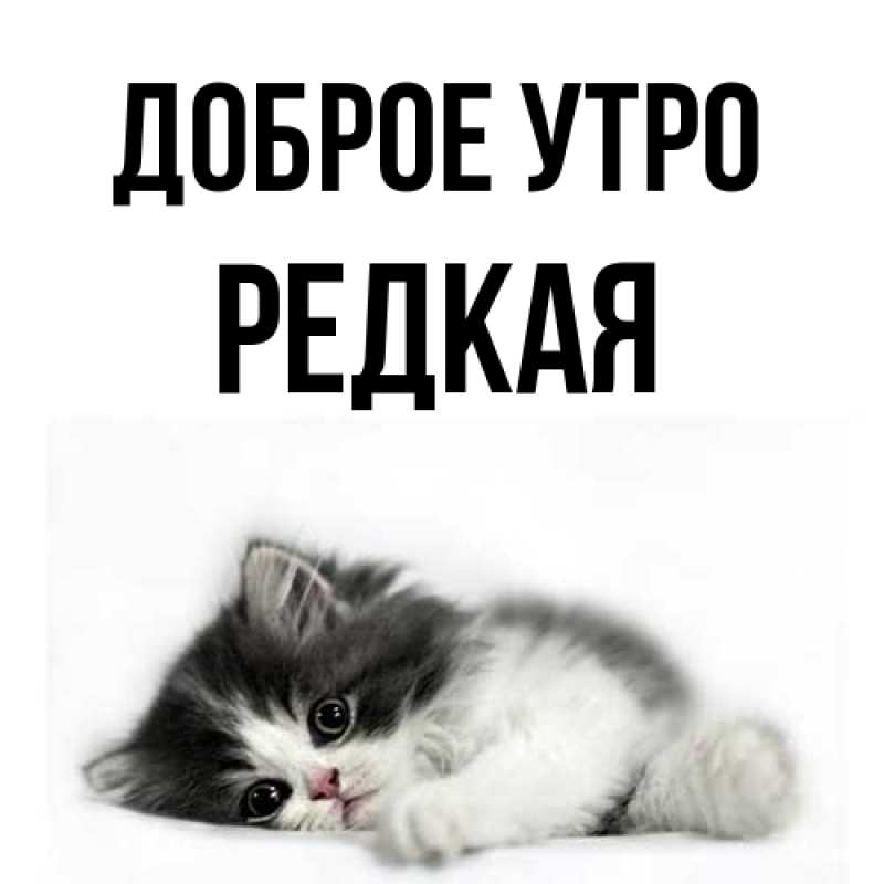 Картинка Доброе утро, Редкая