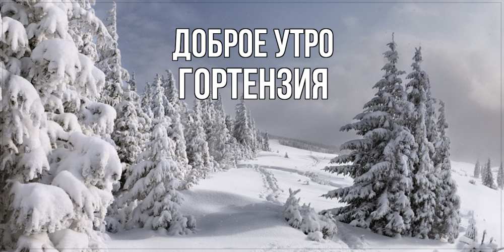 Открытка на каждый день с именем, Гортензия Доброе утро пасмурное утро Прикольная открытка с пожеланием онлайн скачать бесплатно 