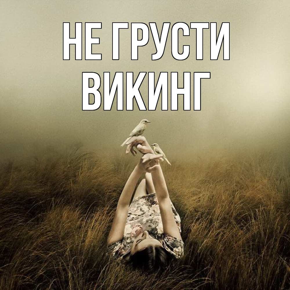 Открытка на каждый день с именем, Викинг Не грусти поле и туман Прикольная открытка с пожеланием онлайн скачать бесплатно 