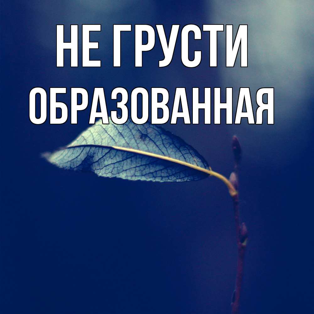 Открытка на каждый день с именем, Образованная Не грусти растение Прикольная открытка с пожеланием онлайн скачать бесплатно 