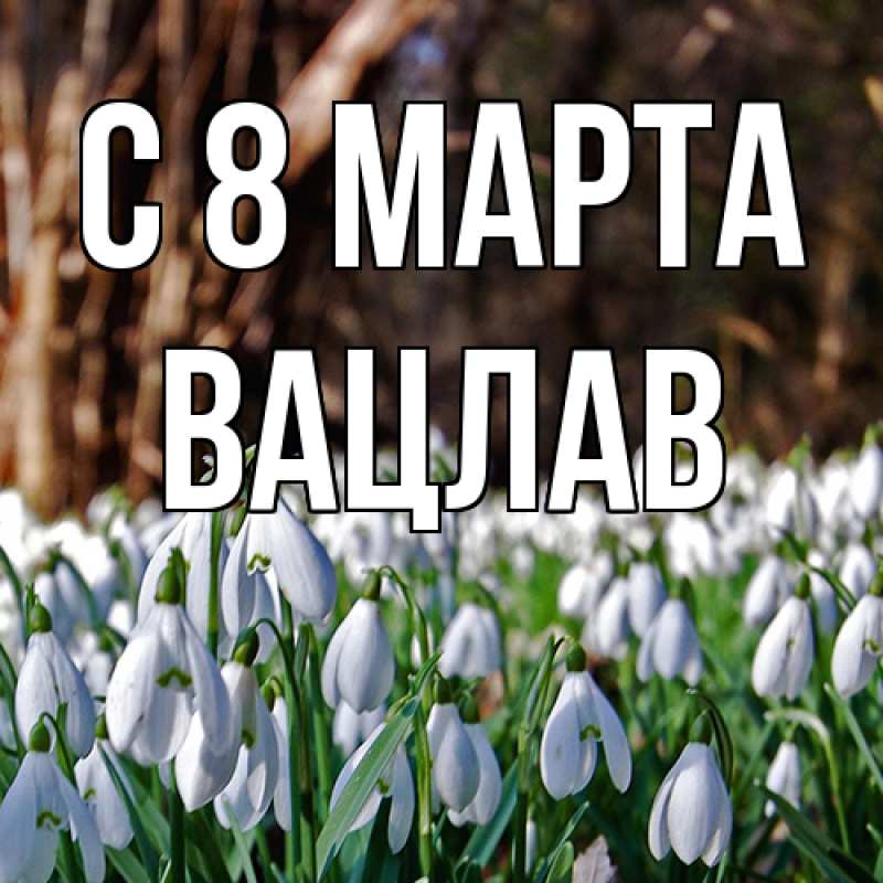 Картинка C 8 МАРТА, Вацлав