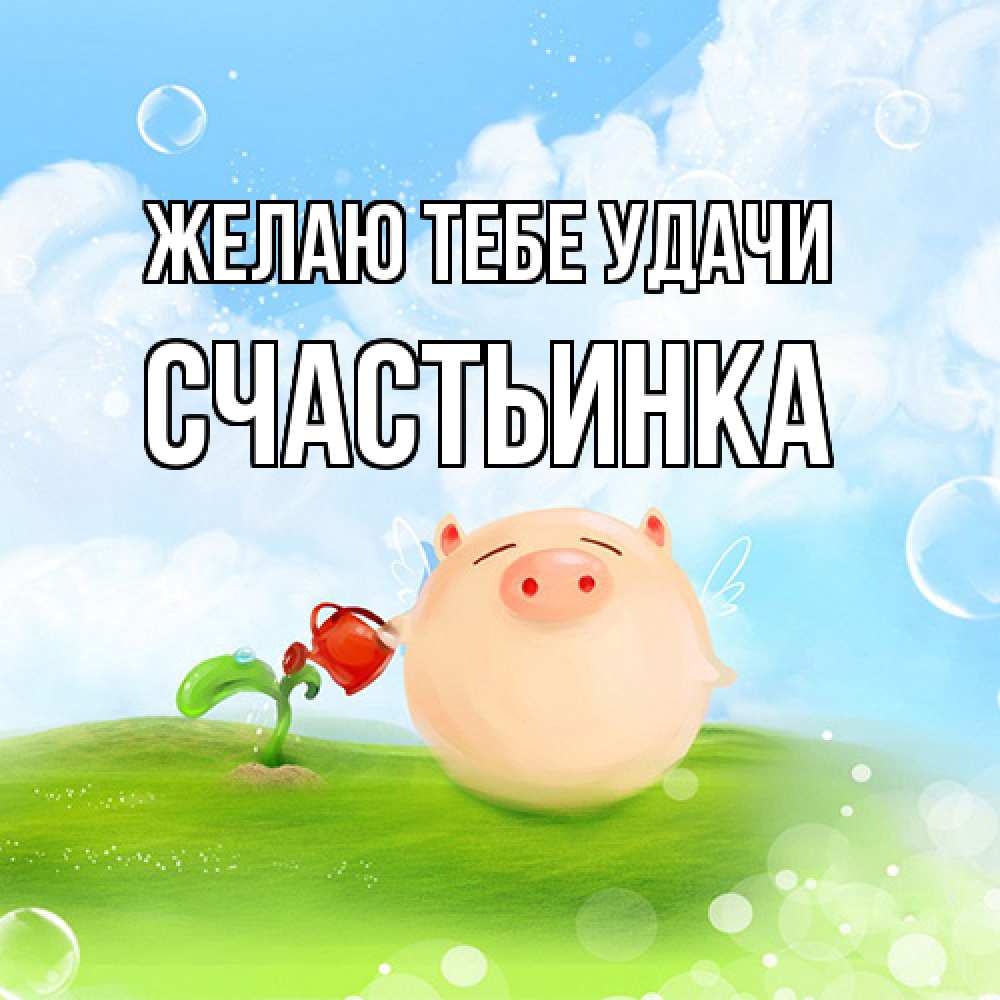 Открытка на каждый день с именем, Счастьинка Желаю тебе удачи поросенок поливает цветок. летнее настроение Прикольная открытка с пожеланием онлайн скачать бесплатно 
