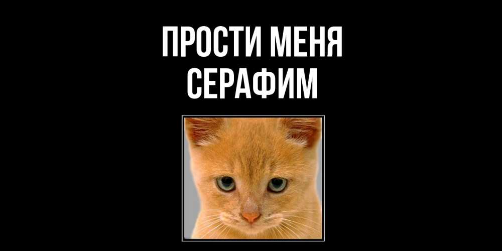 Открытка на каждый день с именем, Серафим Прости меня рыжий грустный кот просит прощения Прикольная открытка с пожеланием онлайн скачать бесплатно 