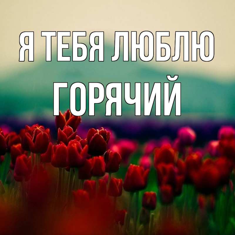 Картинка Я тебя люблю, Горячий