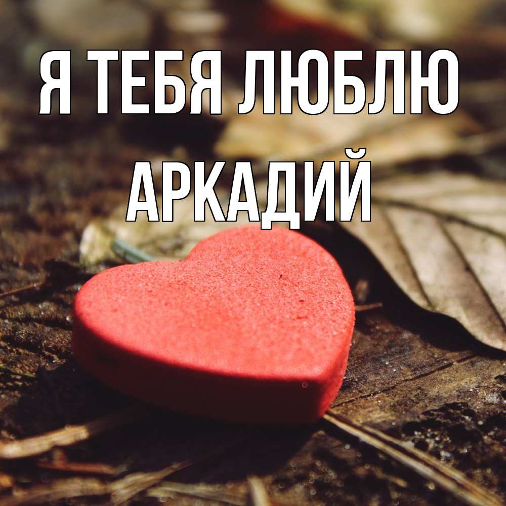 Открытка на каждый день с именем, Аркадий Я тебя люблю листья деревье 4 Прикольная открытка с пожеланием онлайн скачать бесплатно 