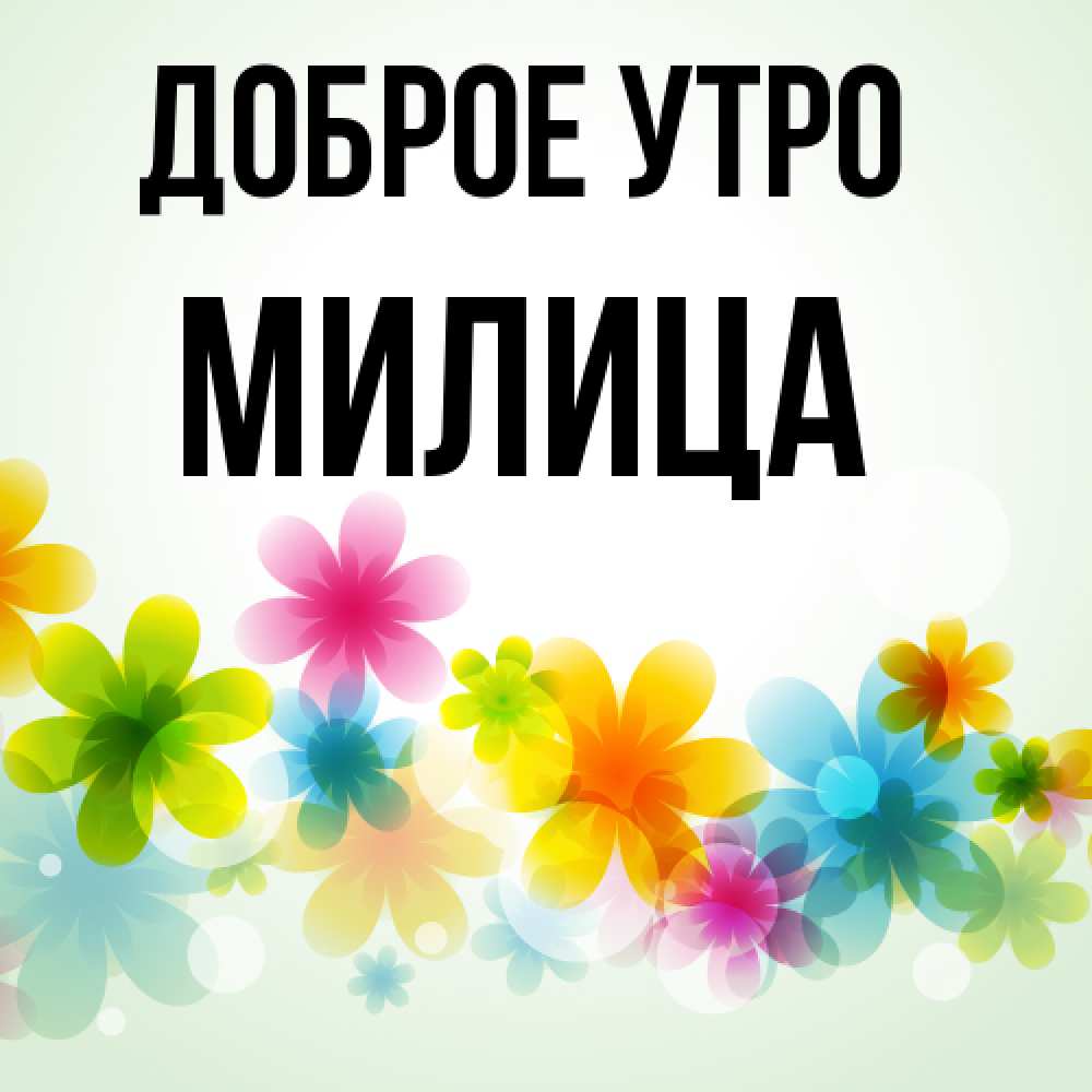 Открытка на каждый день с именем, Милица Доброе утро позитивные цветочки Прикольная открытка с пожеланием онлайн скачать бесплатно 