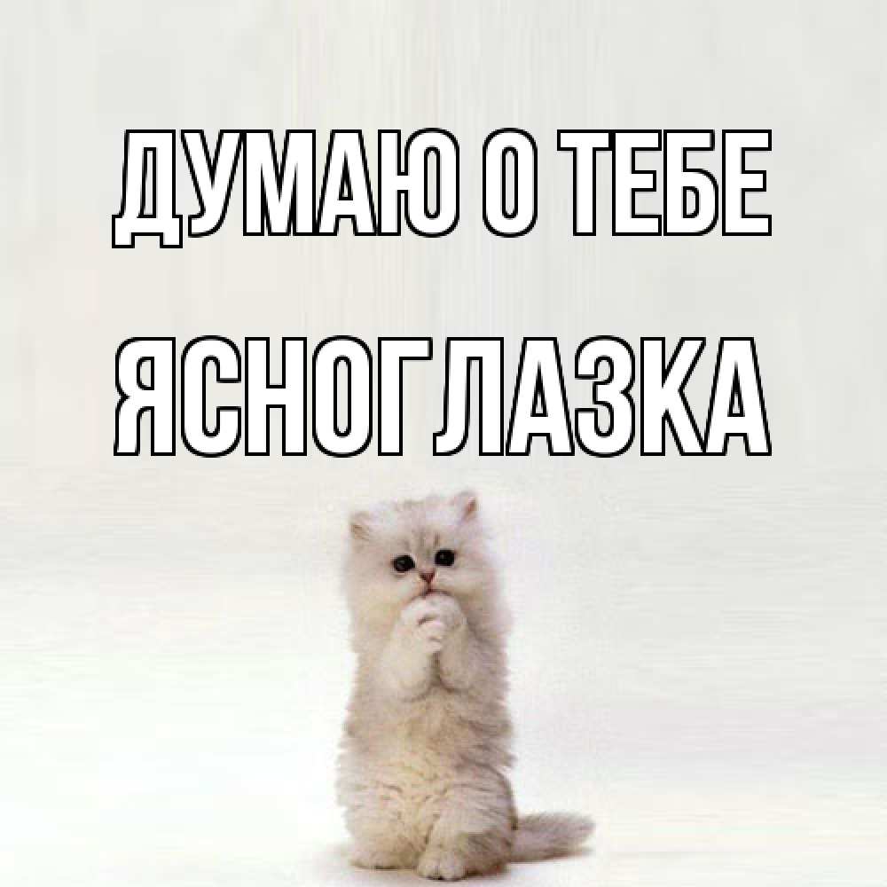 Открытка на каждый день с именем, ясноглазка Думаю о тебе кот стоит на задних лапах Прикольная открытка с пожеланием онлайн скачать бесплатно 