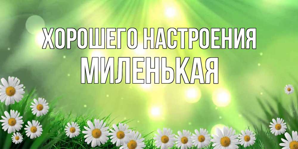 Открытка на каждый день с именем, Миленькая Хорошего настроения открытка с ромашками и солнечными лучами Прикольная открытка с пожеланием онлайн скачать бесплатно 