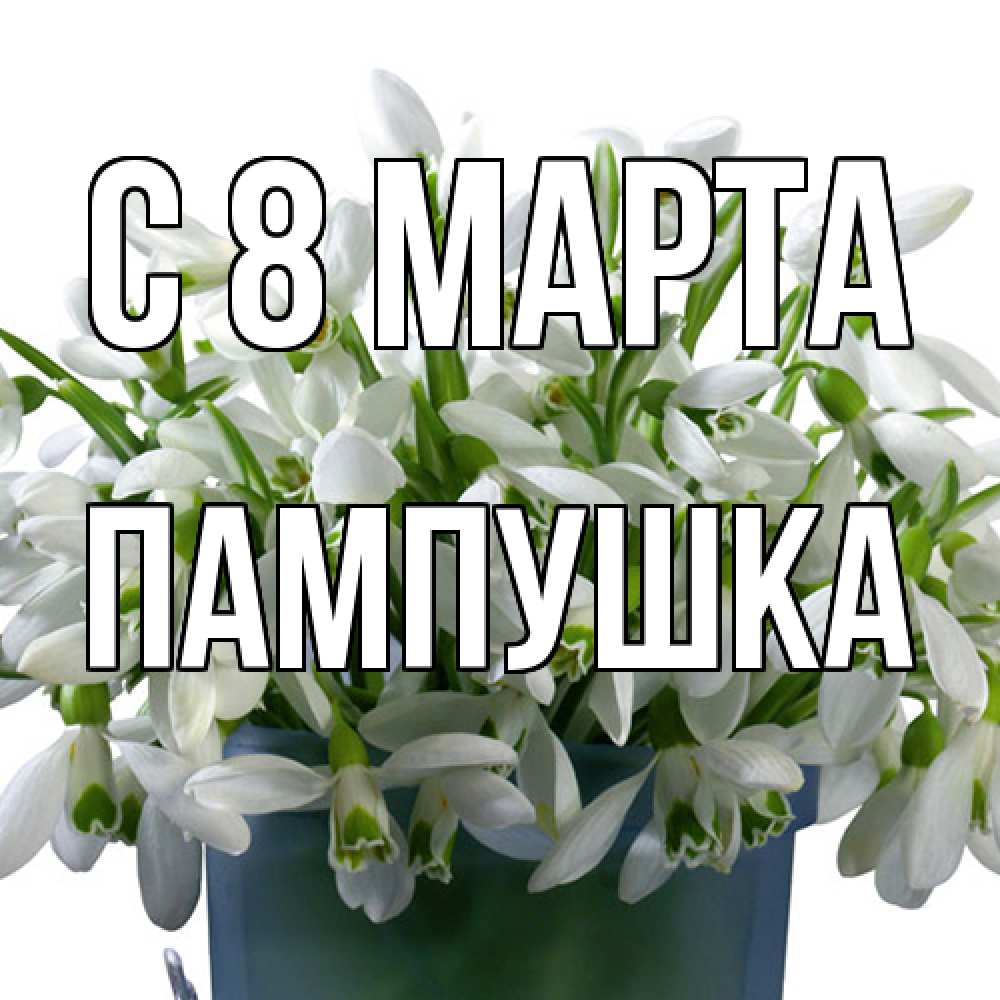 Открытка на каждый день с именем, Пампушка C 8 МАРТА цветы к международному женскому дню Прикольная открытка с пожеланием онлайн скачать бесплатно 