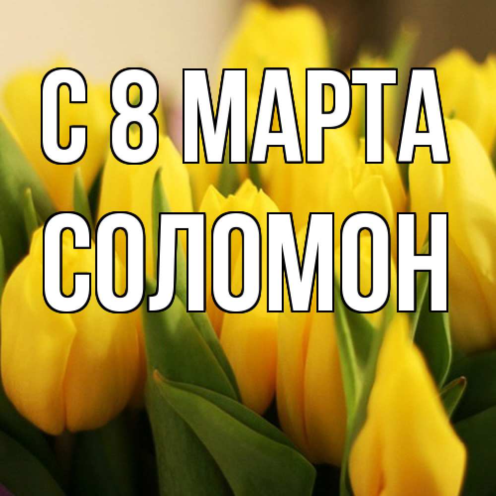 Открытка на каждый день с именем, Соломон C 8 МАРТА цветы Прикольная открытка с пожеланием онлайн скачать бесплатно 