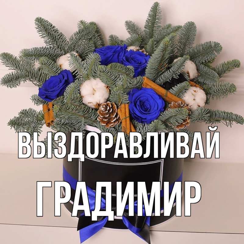 Картинка Выздоравливай, Градимир