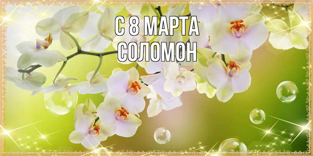 Открытка на каждый день с именем, Соломон C 8 МАРТА открытка с цветами на международный женский день Прикольная открытка с пожеланием онлайн скачать бесплатно 