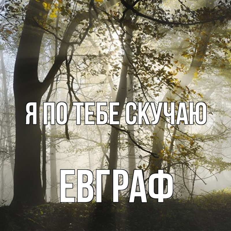 Картинка Я по тебе скучаю, Евграф