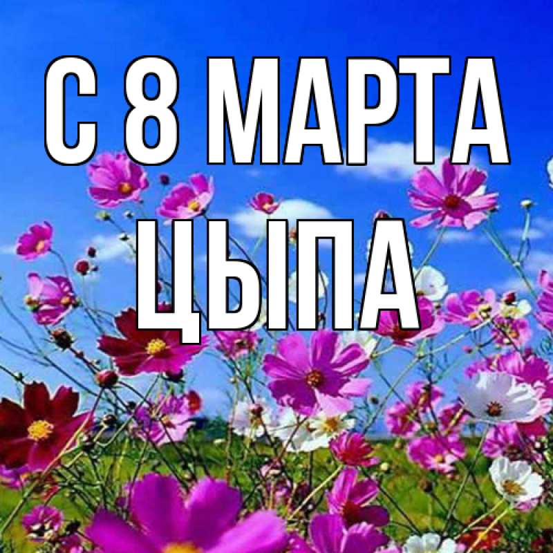 Картинка C 8 МАРТА, Цыпа