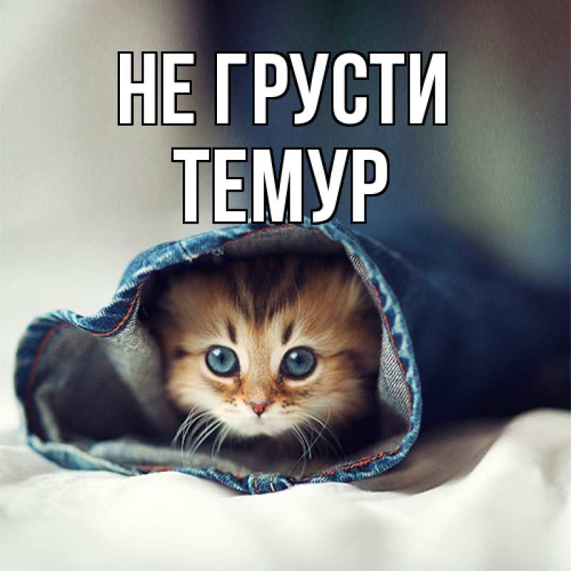 Картинка Не грусти, Темур