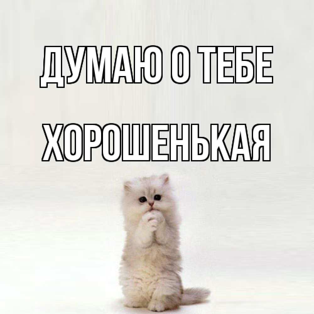 Открытка на каждый день с именем, хорошенькая Думаю о тебе кот стоит на задних лапах Прикольная открытка с пожеланием онлайн скачать бесплатно 