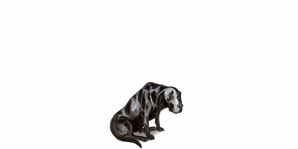 Открытка на каждый день с именем, Стас Прости меня грустная собака на открытке с подписью прости меня Прикольная открытка с пожеланием онлайн скачать бесплатно 