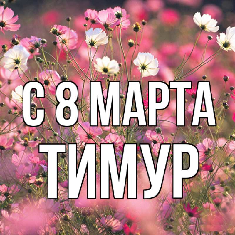 Картинка C 8 МАРТА, Тимур