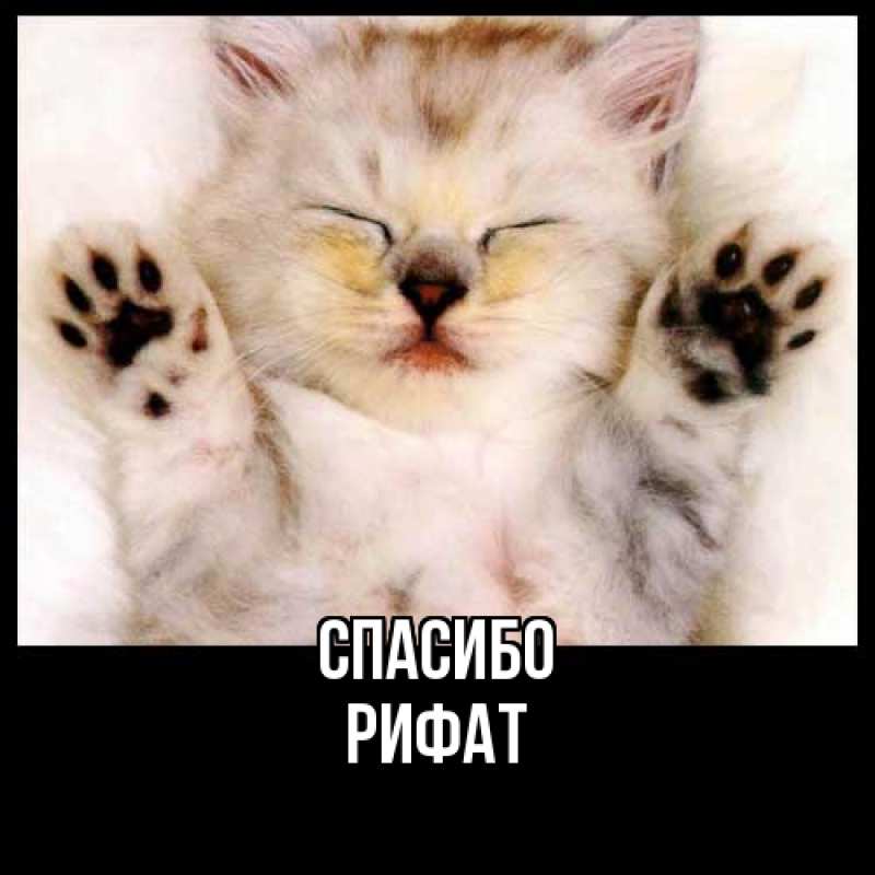 Картинка Спасибо, Рифат