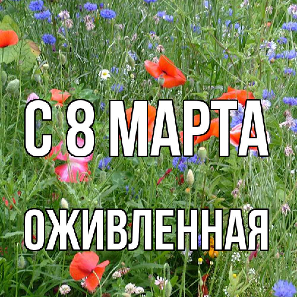 Открытка на каждый день с именем, Оживленная C 8 МАРТА международный женский день 4 Прикольная открытка с пожеланием онлайн скачать бесплатно 