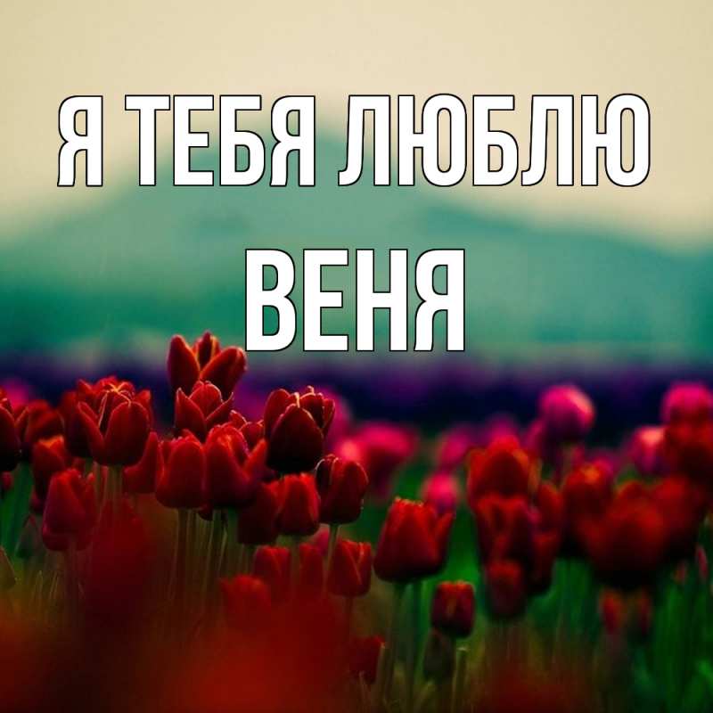 Картинка Я тебя люблю, Веня